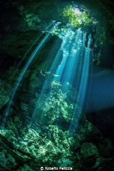 Cenote by Roberto Pelliccia 